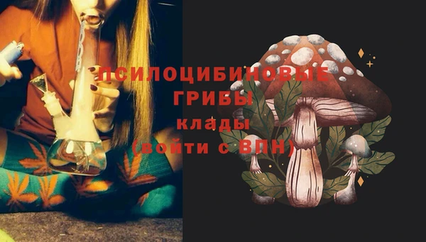 МДМА Козельск