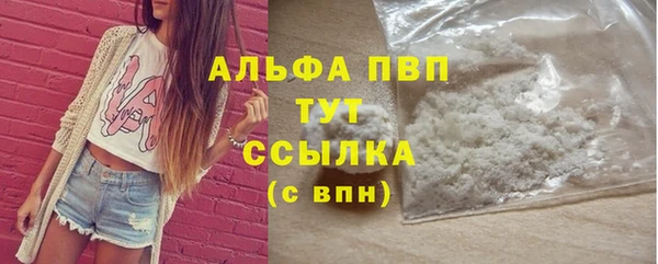 амф Козловка