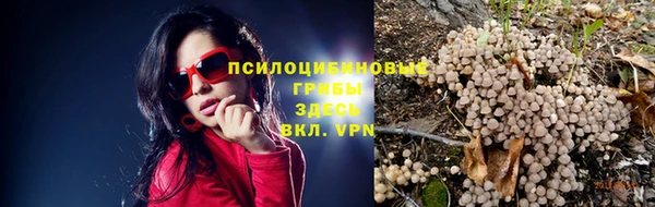 скорость Кодинск