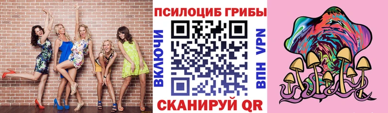 Галлюциногенные грибы Psilocybine cubensis  Купить закладки  Калачинск 